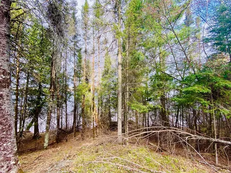 11171 S Engstad Road Solon Springs WI 54873