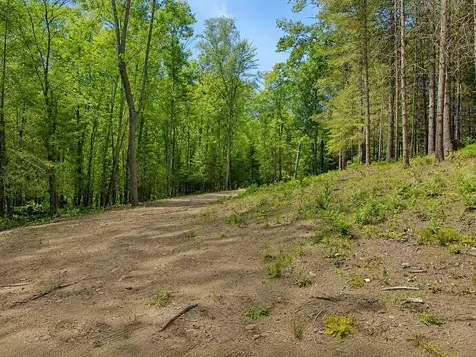 0 Ranch Road Stone Lake WI 54876