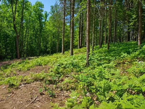 0 Ranch Road Stone Lake WI 54876