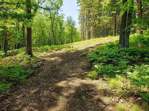 0 Ranch Road Stone Lake WI 54876