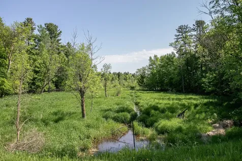 52371 Balsam Avenue W Stanchfield MN 55080