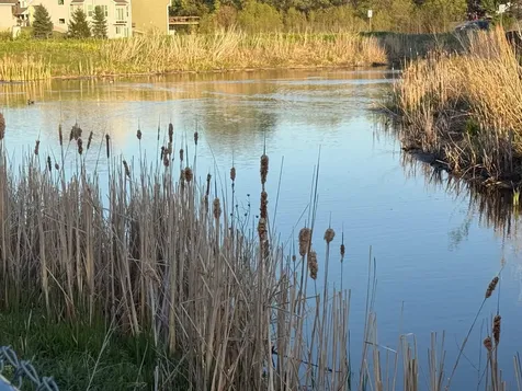 17975 Evening Lane Lakeville MN 55044