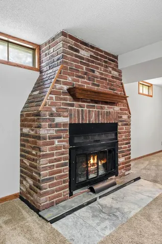 774 Vicky Lane Circle Pines MN 55014