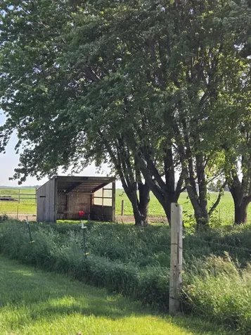 15041 State Highway 30 New Richland MN 56072