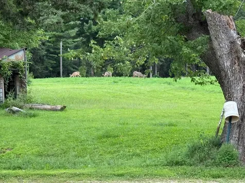 S3565 Rooster Ridge Lane Fountain City WI 54629
