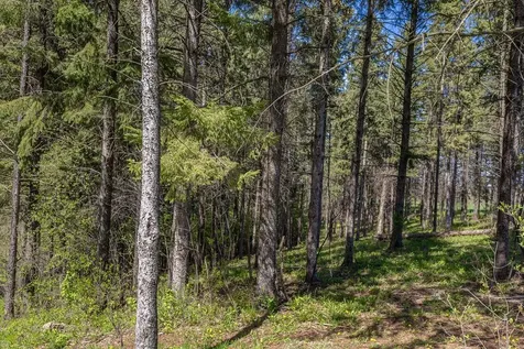 S3565 Rooster Ridge Lane Fountain City WI 54629