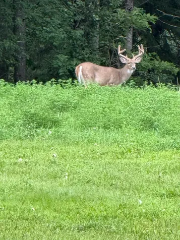 S3565 Rooster Ridge Lane Fountain City WI 54629