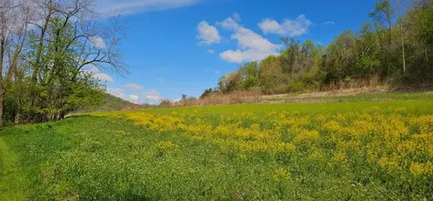 24020 Cty Road 17 Winona MN 55987