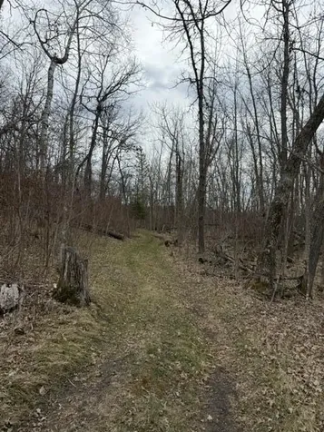 13233 Wonder Green Lane SE Bemidji MN 56601