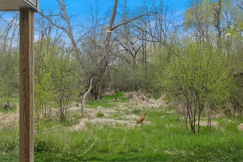 904 Saddle Club Court Lino Lakes MN 55014