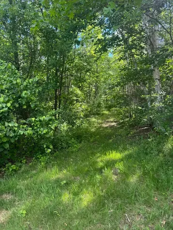 49382 Pansy Landing Road Sandstone MN 55072