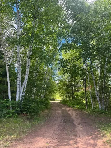 49382 Pansy Landing Road Sandstone MN 55072