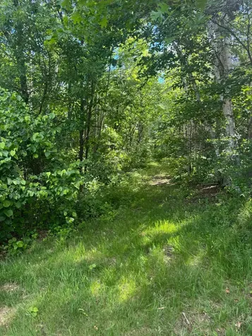 49382 Pansy Landing Road Sandstone MN 55072