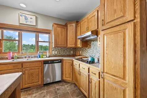2490 Deer Drive Stanchfield MN 55080
