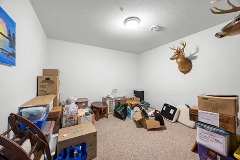 2490 Deer Drive Stanchfield MN 55080