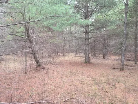 Tbd 450th St - Parcel C Laporte MN 56461