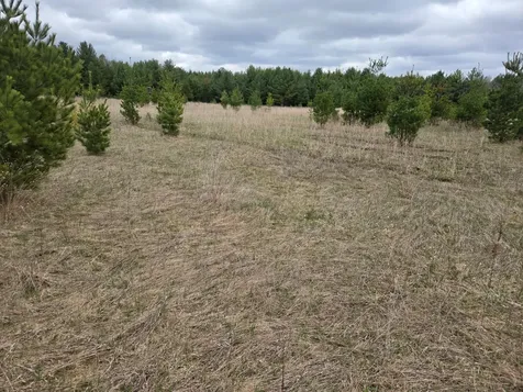 Tbd 450th St - Parcel B Laporte MN 56461