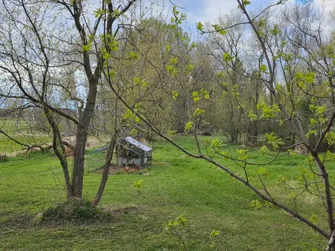 26274 Wilkinson Avenue Quamba MN 55007