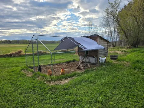 26274 Wilkinson Avenue Quamba MN 55007