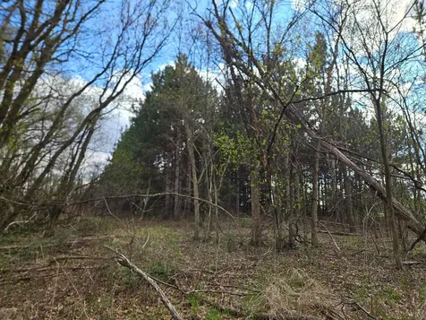 Xxx Tbd County Rd 115 +/- 17.63 Acres Saint Augusta MN 56301