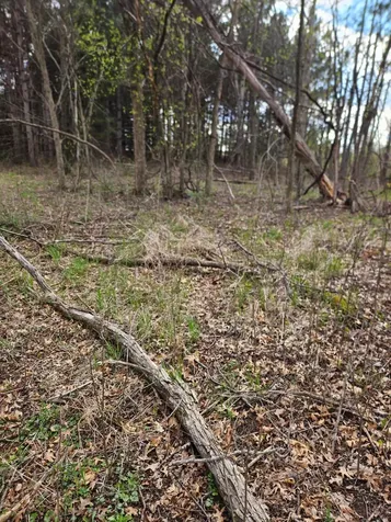 Xxx Tbd County Rd 115 +/- 17.63 Acres Saint Augusta MN 56301