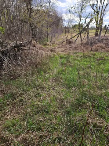 Xxx Tbd County Rd 115 +/- 17.63 Acres Saint Augusta MN 56301