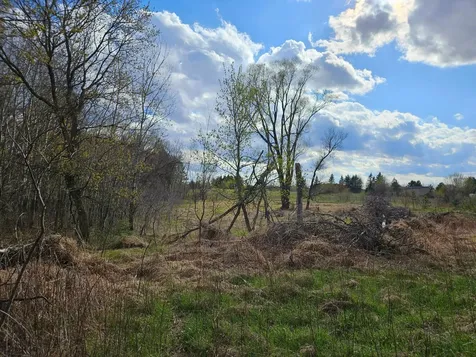 Xxx Tbd County Rd 115 +/- 17.63 Acres Saint Augusta MN 56301