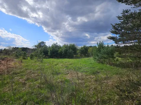 Xxx Tbd County Rd 115 +/- 17.63 Acres Saint Augusta MN 56301