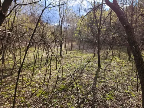 Xxx Tbd County Rd 115 +/- 17.63 Acres Saint Augusta MN 56301