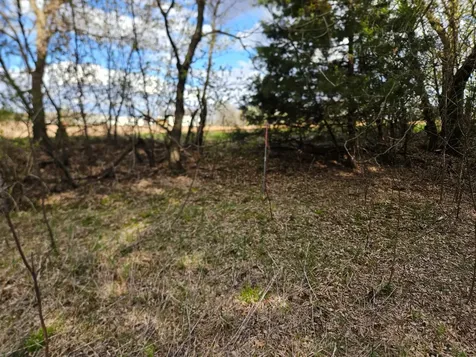 Xxx Tbd County Rd 115 +/- 17.63 Acres Saint Augusta MN 56301