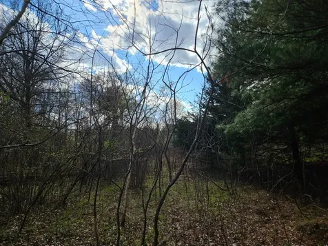 Xxx Tbd County Rd 115 +/- 17.63 Acres Saint Augusta MN 56301