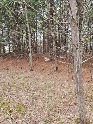 Xxx Tbd County Rd 115 +/- 17.63 Acres Saint Augusta MN 56301
