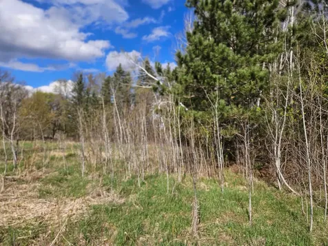 Xxx Tbd County Rd 115 +/- 17.63 Acres Saint Augusta MN 56301