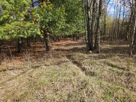 Xxx Tbd County Rd 115 +/- 17.63 Acres Saint Augusta MN 56301