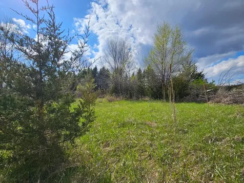 Xxx Tbd County Rd 115 +/- 17.63 Acres Saint Augusta MN 56301