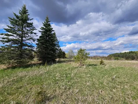 Xxx Tbd County Rd 115 +/- 17.63 Acres Saint Augusta MN 56301