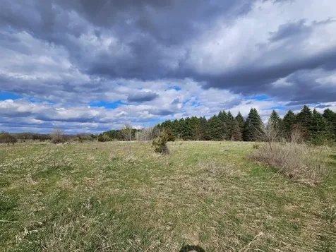 Xxx Tbd County Rd 115 +/- 17.63 Acres Saint Augusta MN 56301