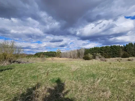Xxx Tbd County Rd 115 +/- 17.63 Acres Saint Augusta MN 56301