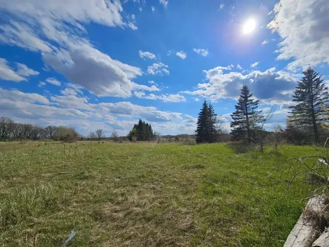 Xxx Tbd County Rd 115 +/- 17.63 Acres Saint Augusta MN 56301