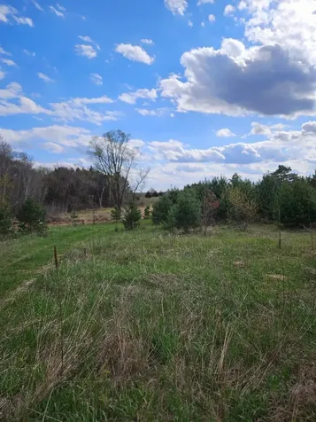 Xxx Tbd County Rd 115 +/- 17.63 Acres Saint Augusta MN 56301
