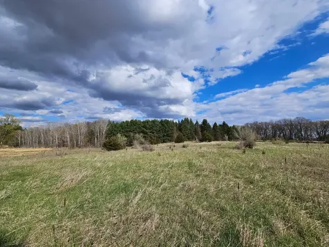 Xxx Tbd County Rd 115 +/- 17.63 Acres Saint Augusta MN 56301
