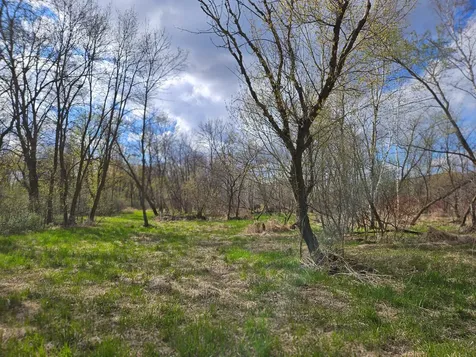 Xxx Tbd County Rd 115 +/- 17.63 Acres Saint Augusta MN 56301