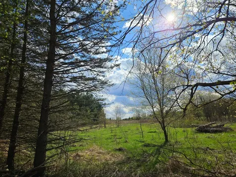 Xxx Tbd County Rd 115 +/- 17.63 Acres Saint Augusta MN 56301