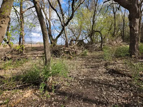 Xxx Tbd County Rd 115 +/- 17.63 Acres Saint Augusta MN 56301
