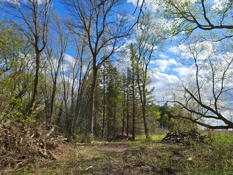 Xxx Tbd County Rd 115 +/- 17.63 Acres Saint Augusta MN 56301