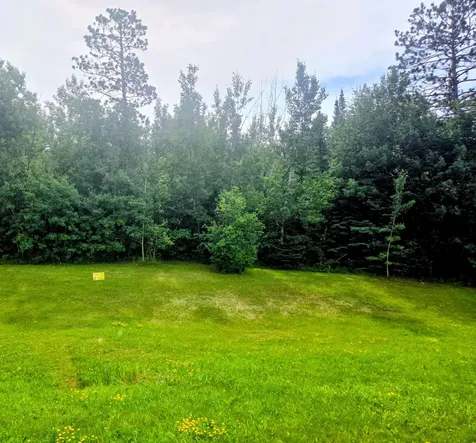 11488 Highway 71 Mizpah MN 56660