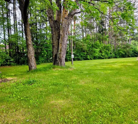 11488 Highway 71 Mizpah MN 56660