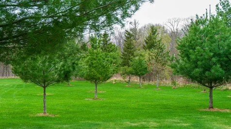33071 Holly Road Pine City MN 55063