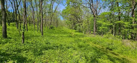 35423 Skyview Drive Winona MN 55987