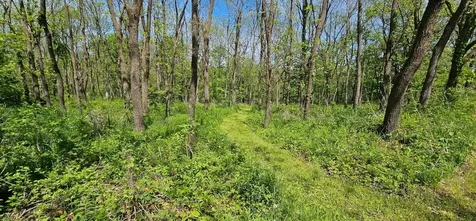 35423 Skyview Drive Winona MN 55987